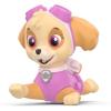 imageEnergizer PAW Patrol Squeeze Flashlights 2 Count Great LED Flashlights for Kids Batteries IncludedSkye  Marshall 2Pack