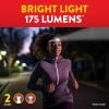 imageEVEREADY LED Headlamps Pro200 5Pack IPX4 Water Resistant Bright and Durable Head Lights for Camping Hiking Emergency Power Outage Batteries IncludedGray