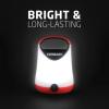 imageEveready LED Camping Lantern X250 2Pack Super Bright Tent Lights Rugged Water Resistant LED Lanterns 100 Hour Runtime Batteries Included Red and Black1 Pack