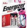 2 Count (Pack of 1)